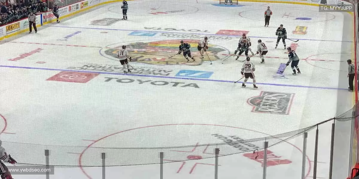 📱 指尖轻点，全球赛事实时掌控！🎥